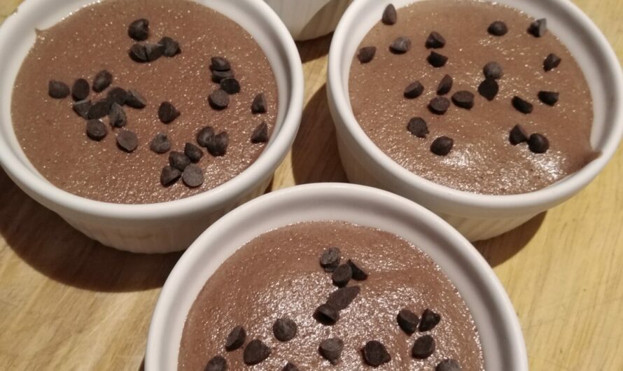 Mousse / glace au chocolat vegan