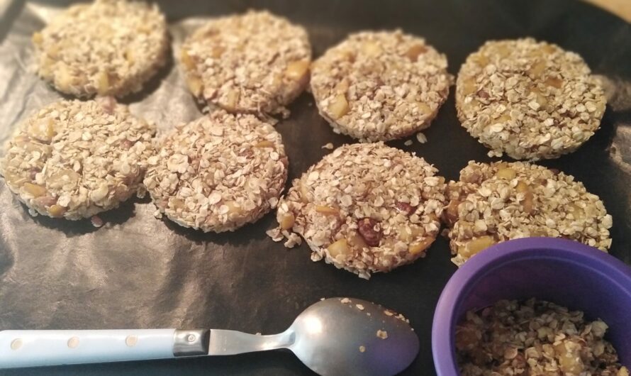 Barres de céréales maison