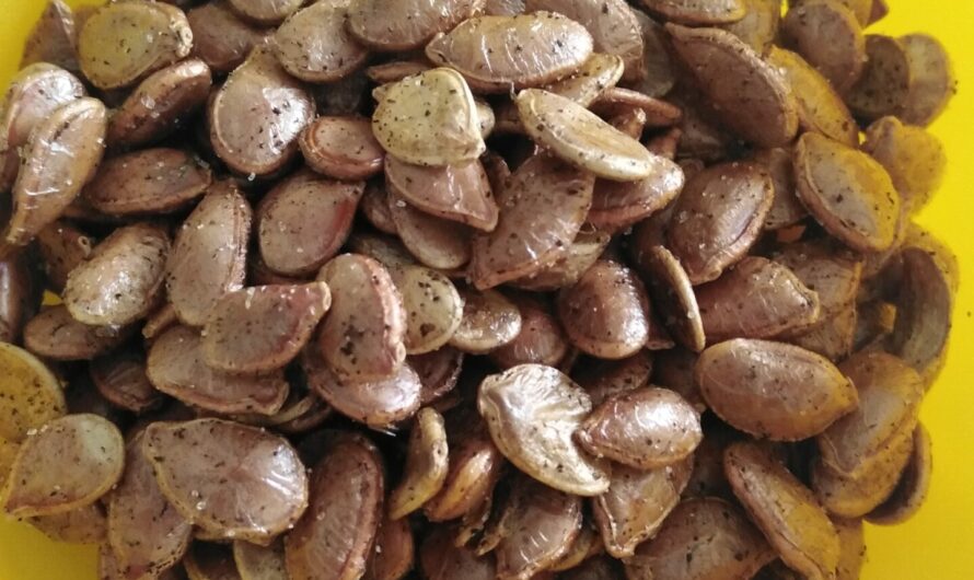 Graines grillées (recette anti gaspi)