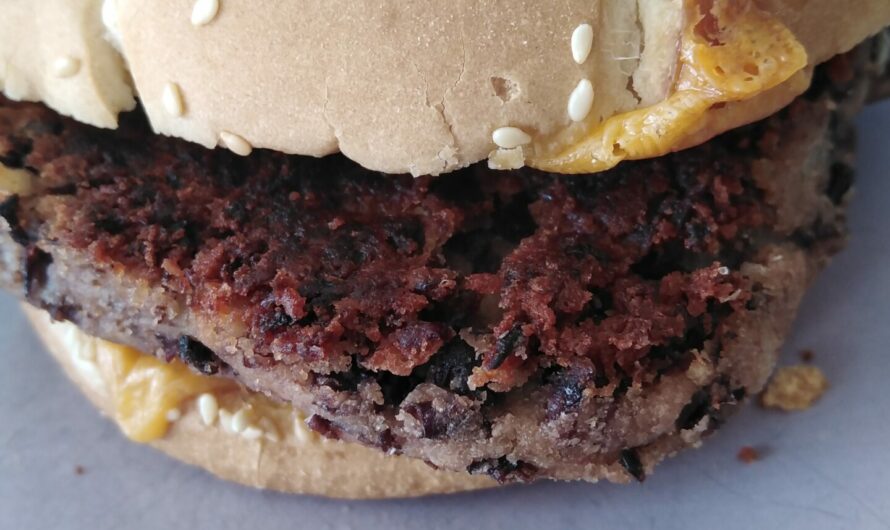 Steaks végétariens / galettes de haricots rouges